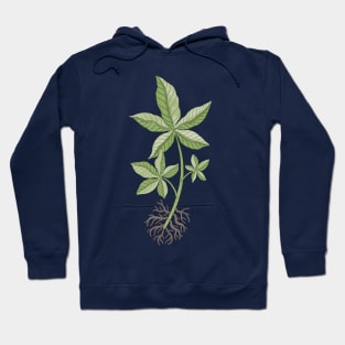 Money Tree Cutting Hoodie